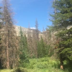 Meet your Posher, Frank